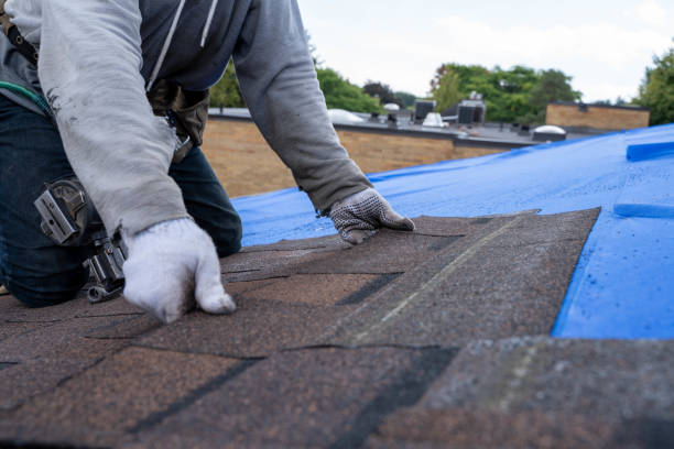 Best Roof Gutter Cleaning  in Dike, IA